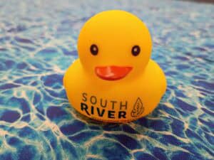 Yellow rubber duckie with SRWC logo - first 50 arrivals to the Science Talk get one free!