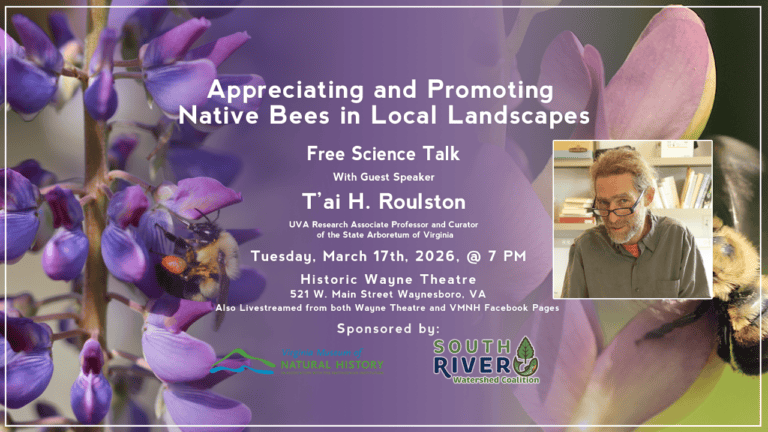 Appreciating and Promoting Native Bees in Local Landscapes with T’ai Roulston March 17, 2026, 7 pm at the Wayne Theatre